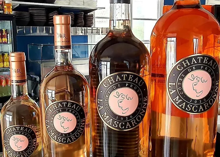 Restaurant L'atelier Des Cousins 2* 沙特拉永普拉日